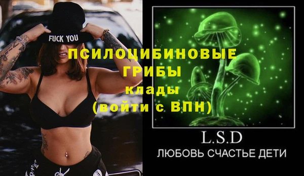 марки lsd Гусь-Хрустальный